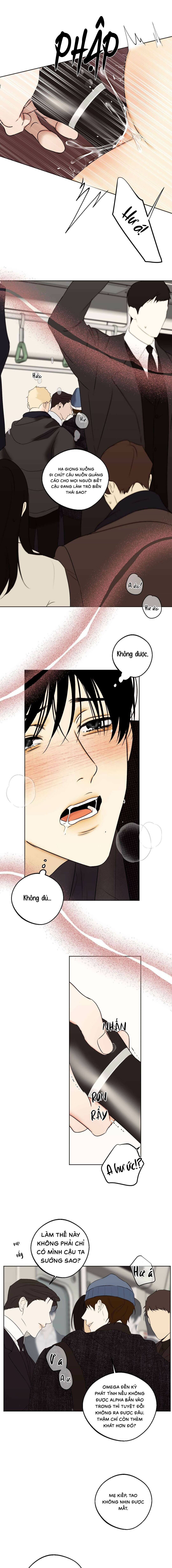 nô lệ omega sụp đổ chapter 2 11