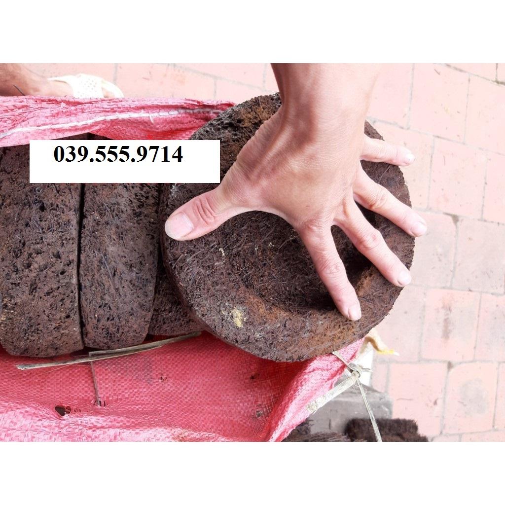 5 DỚN TRỒNG LAN - giữ ẩm cho lan