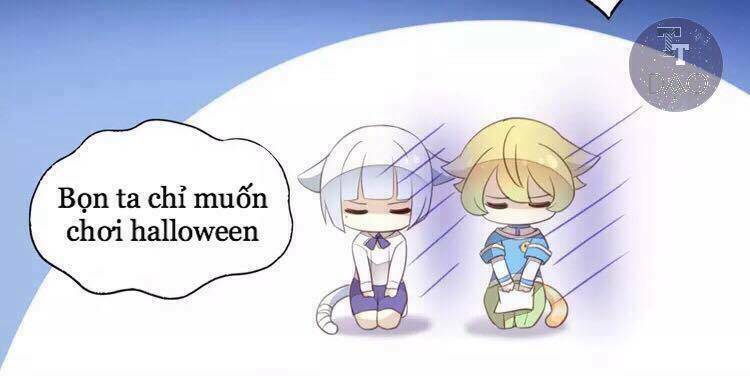 dưới móng vuốt mèo chapter 18 9