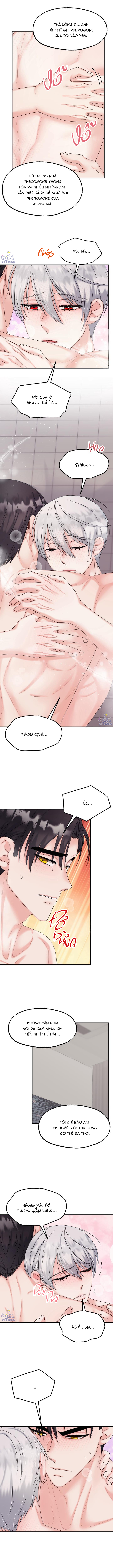 kiện thỏ này nhận miễn đổi trả chapter 8 7