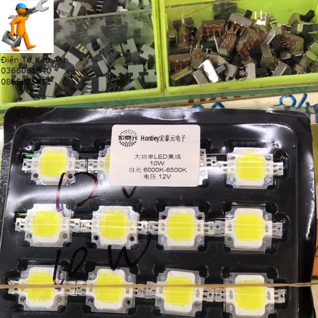 Mắt led 10w 12v