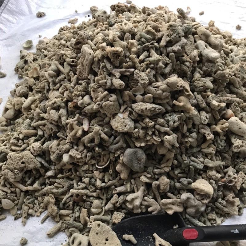 San hô vụn lọc nước cho hồ cá gói 1kg