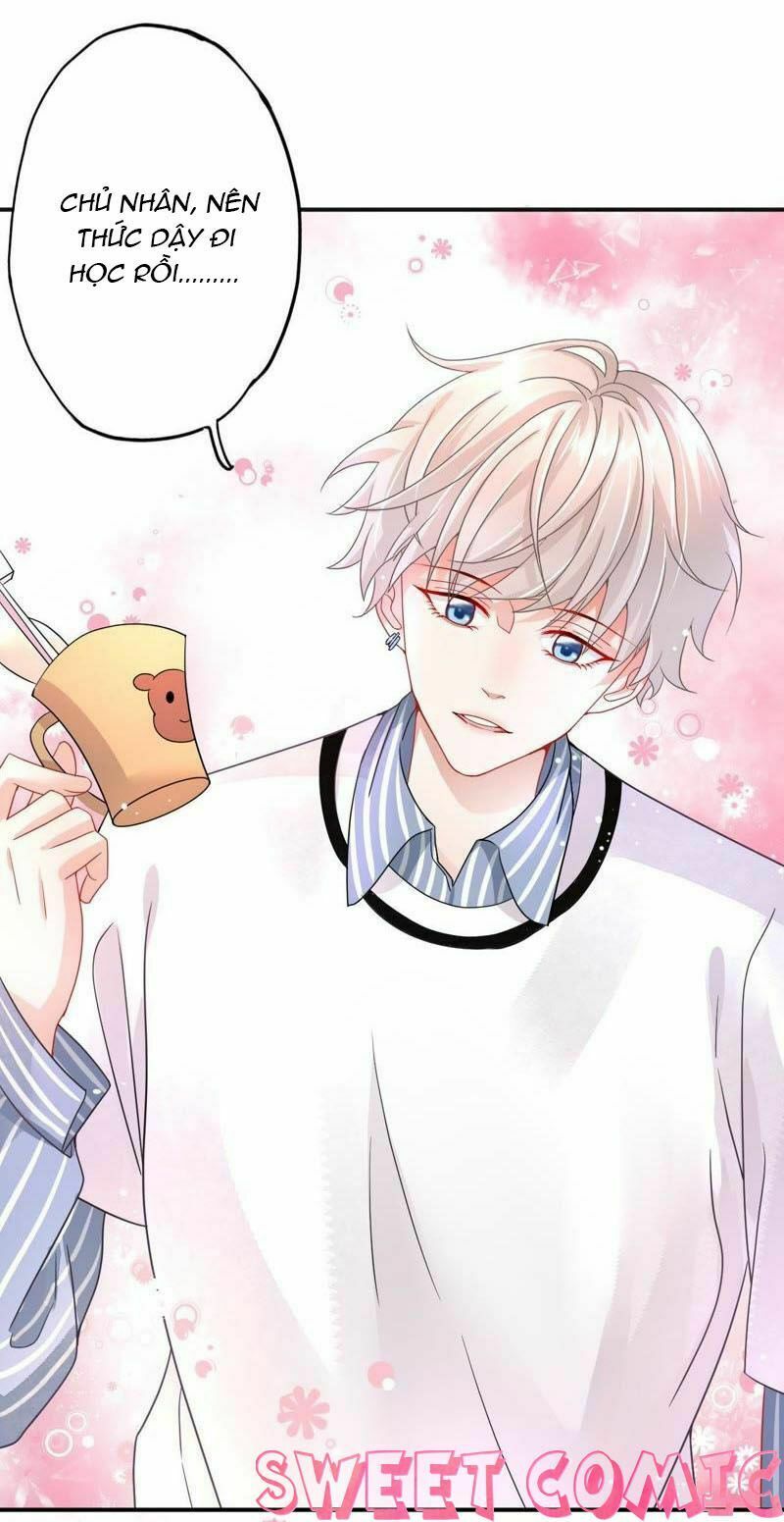 chàng trai người máy ấm áp 741 của tôi chapter 3 8