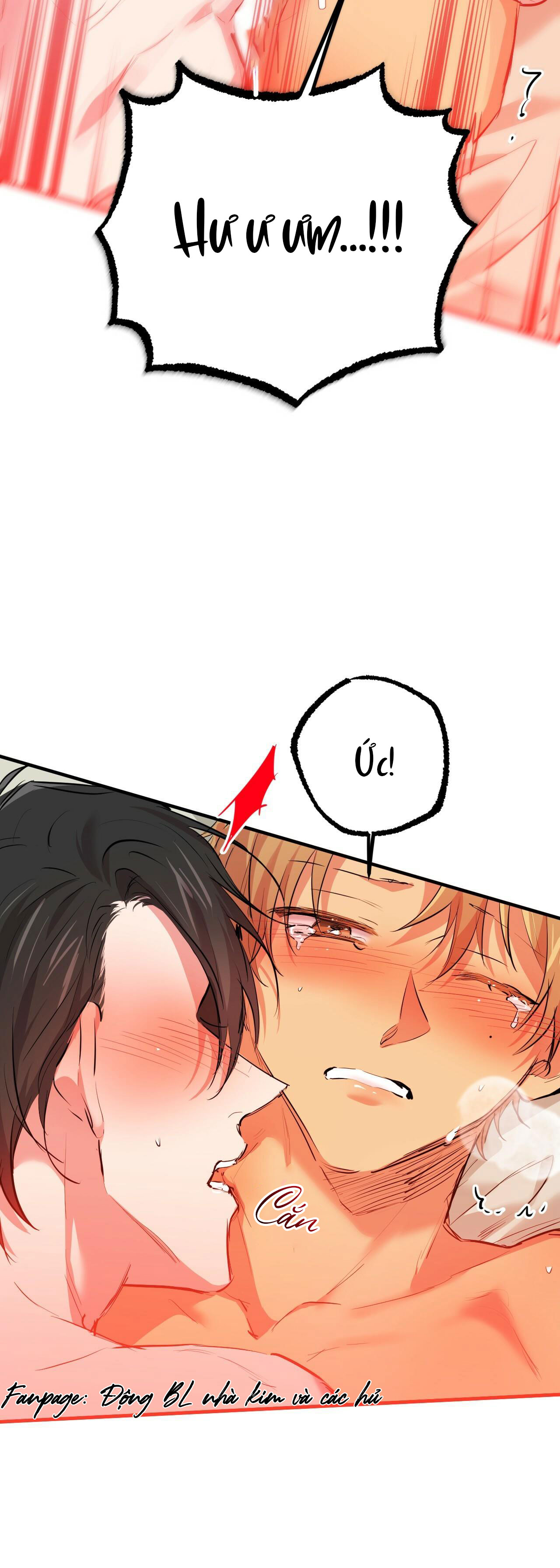 những chú thỏ của hapypy chapter 29 25