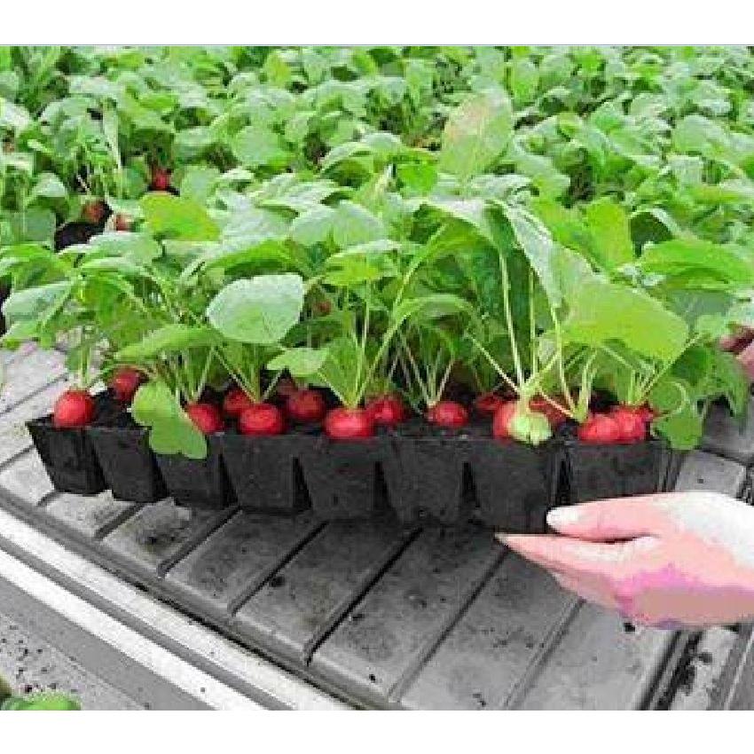 Combo 2 gói Hạt giống củ cải đỏ mini gói 5gram-tặng kèm gói phân bón lót