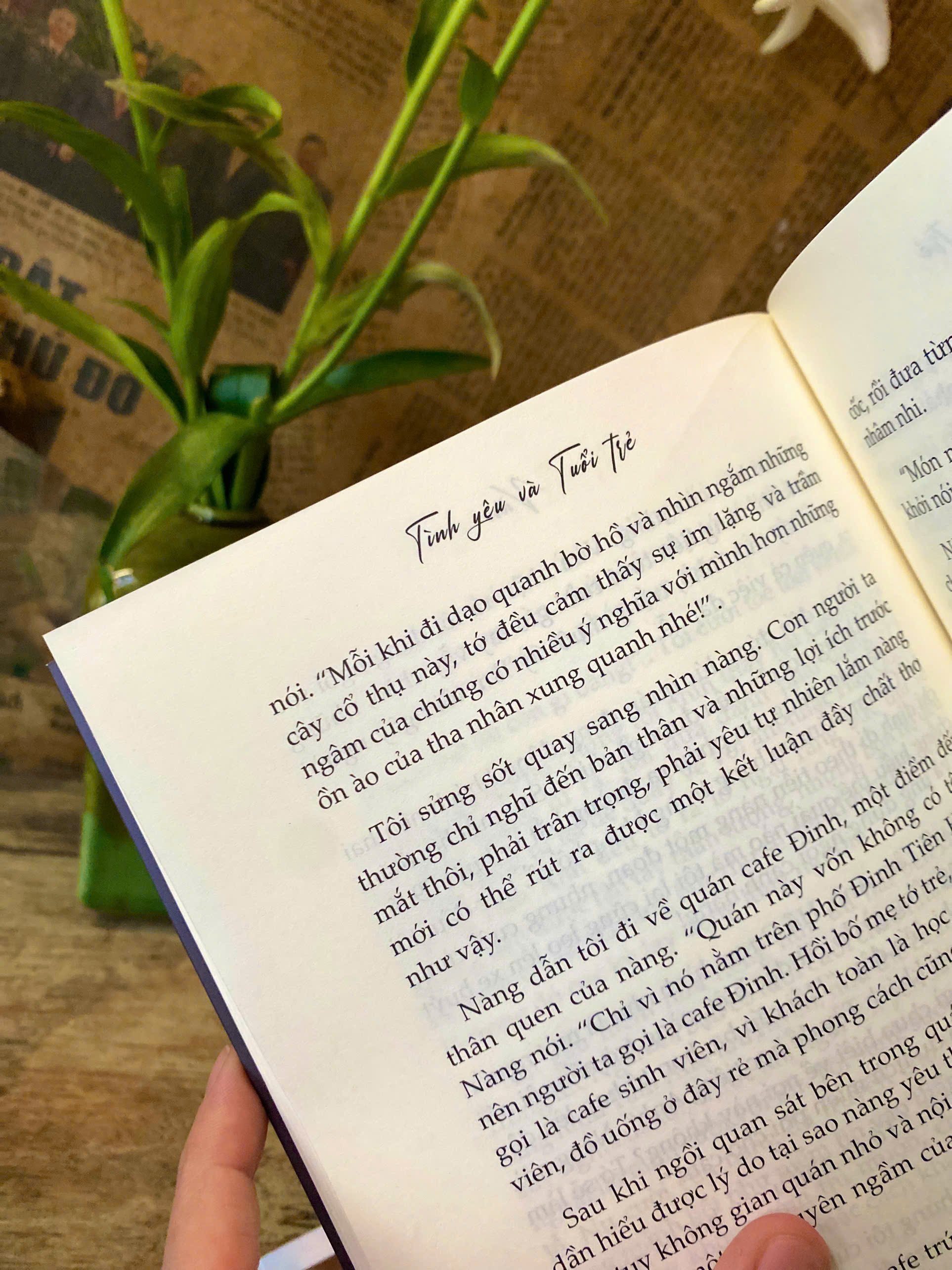 Sách - Tình Yêu và Tuổi Trẻ - Thanh Xuân Không Phải Để Hối Tiếc - Tri Thức Trẻ Books - Tác giả Văn