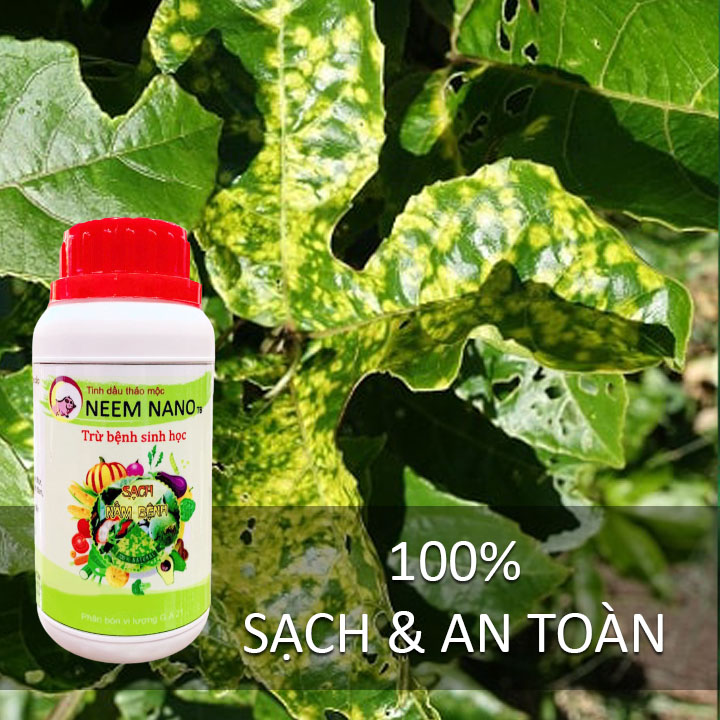 VƯỜN SINH THÁI - Thuốc trừ nấm bệnh sinh học neem nano - Sạch thán thư, rỉ sắt, thối nhũn, đốm đen, héo xanh, phấn trắng - Chiết xuất 100% Thiên Nhiên