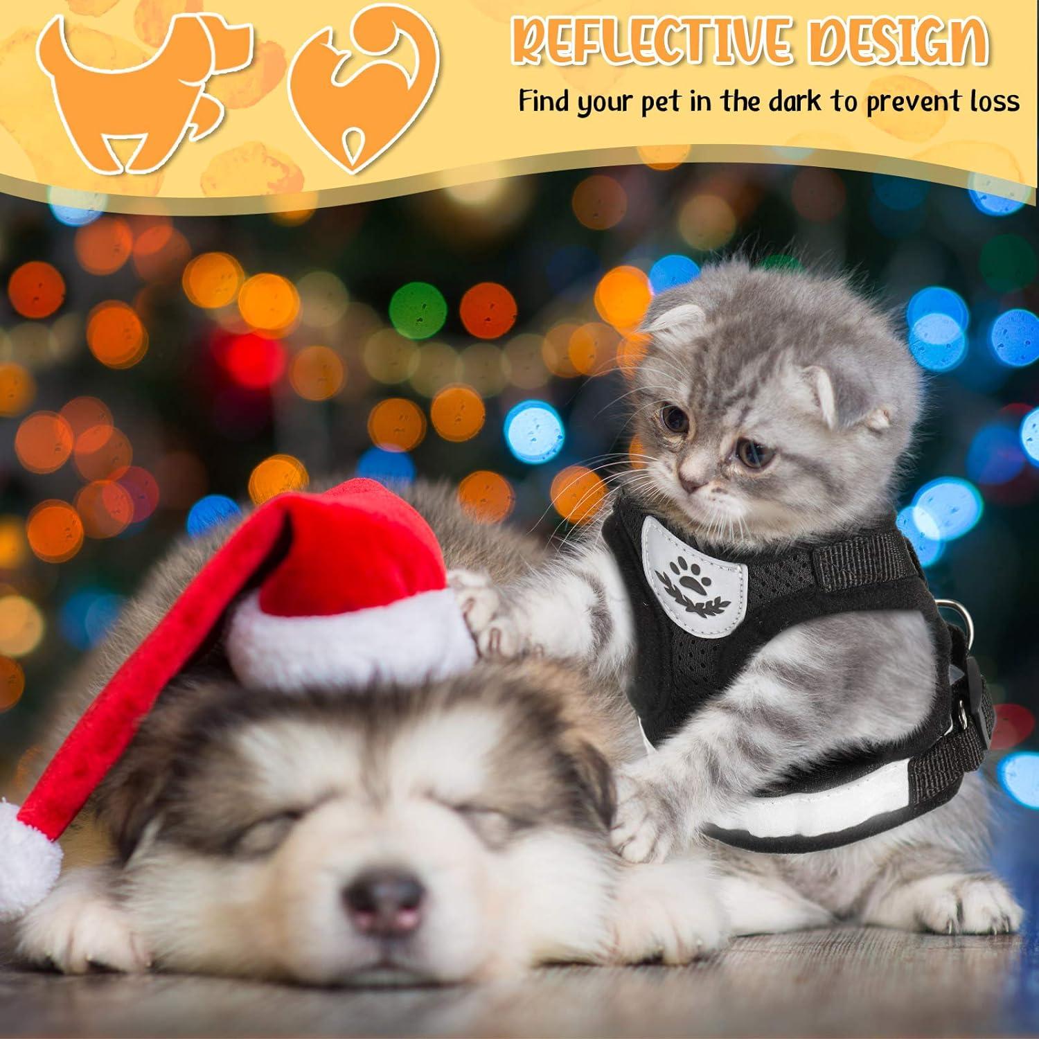 Bộ khai thác và dây xích cho chó con/ mèo khai thác có thể điều chỉnh vest chống rò rỉ trong lưới linh hoạt để lại ngực trong lưới thoáng khí cho động vật mèo