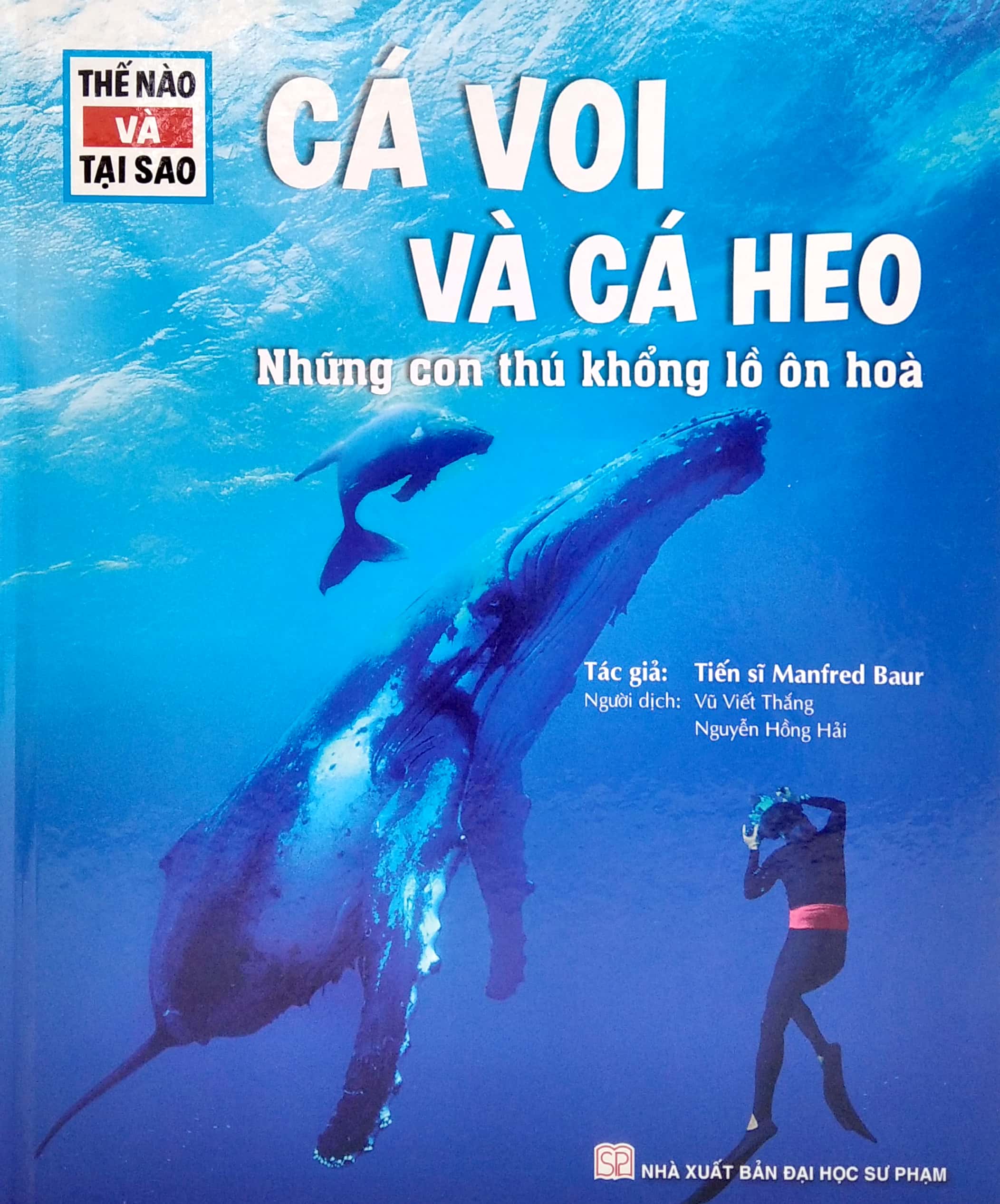 Combo sách Trọn bộ thế nào và tại sao - minhhabooks