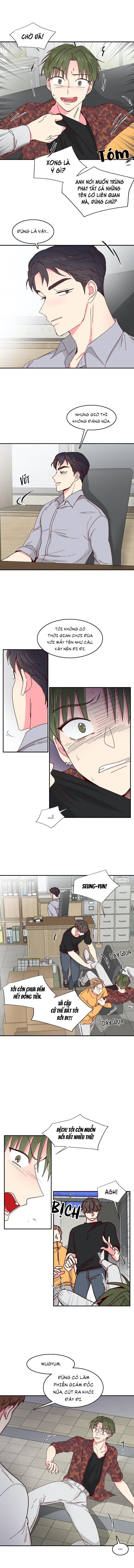 món tráng miệng của sếp tổng chapter 31 7