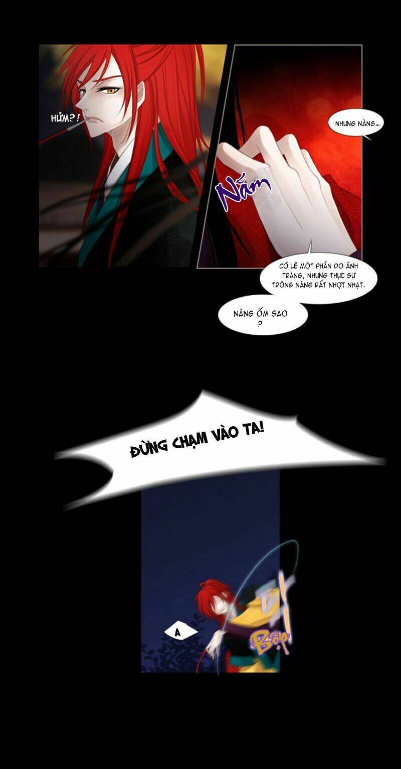 12 nights chapter 11 23