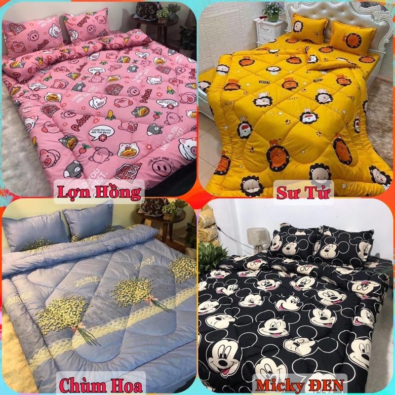 Trọn Bộ Chăn Phao 5 Món Ga Gối Poly loại 1 Chăn Bông Dày Như Hình