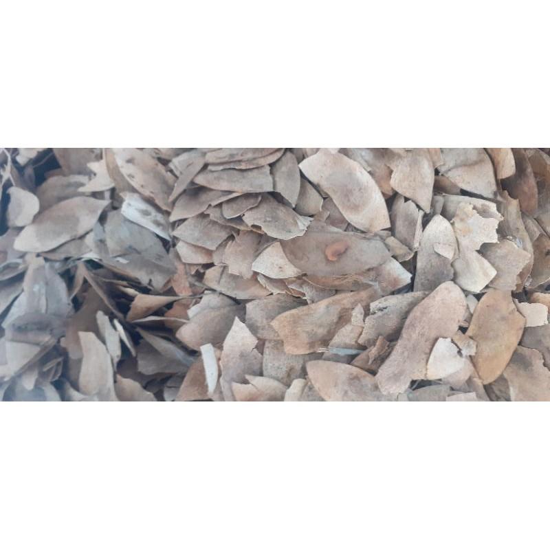 500gram sưa đỏ giống