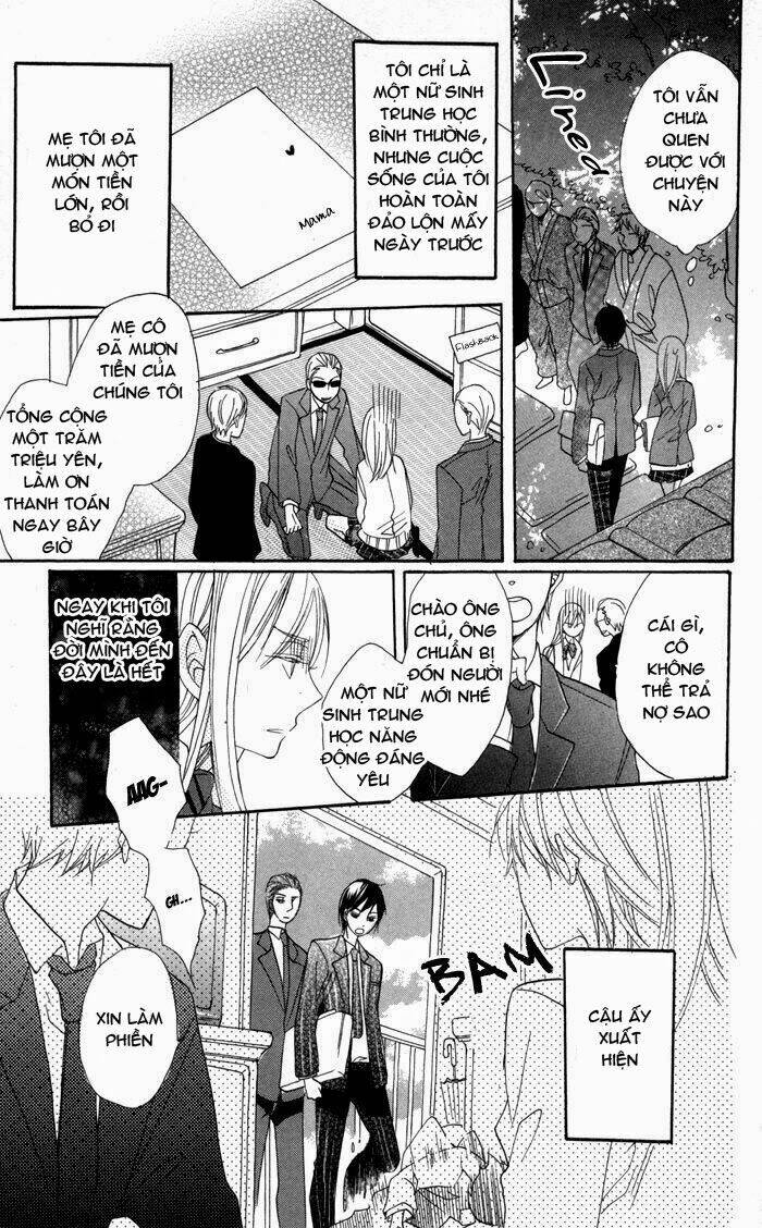 hoa hồng hoang dã chapter 2 6