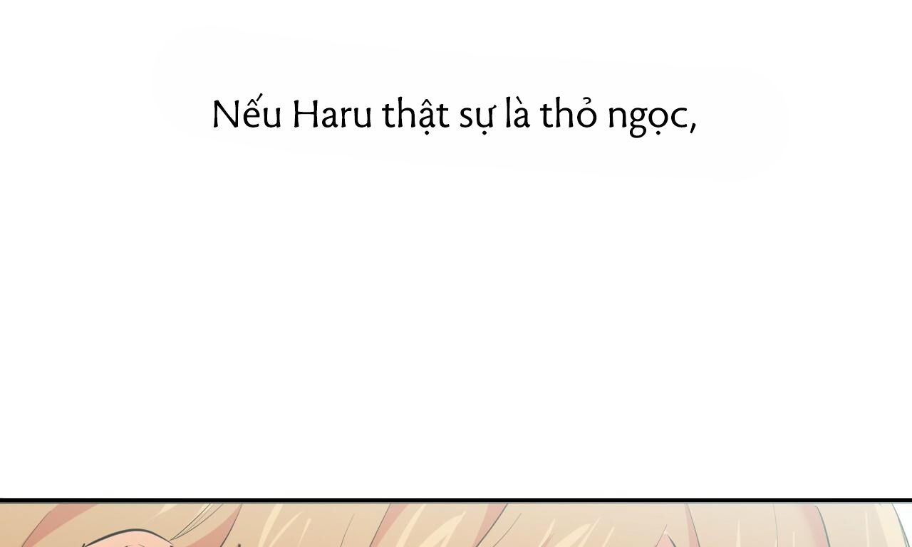 đàn thỏ của habibi chapter 31 47