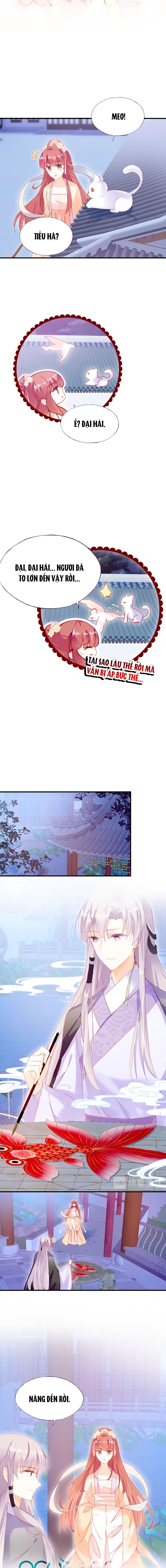 trẫm cũng không muốn quá khí phách chapter 60 6