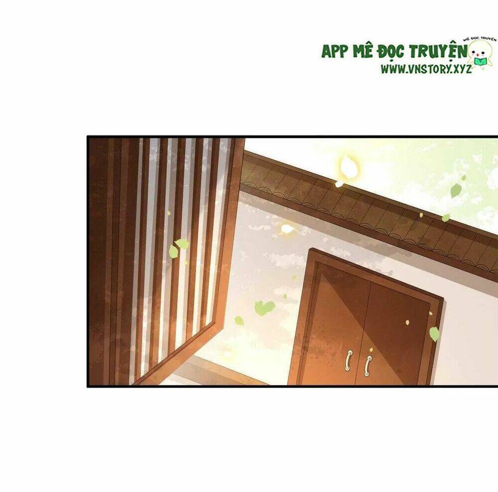 phượng hoàng vu phi chapter 99 11