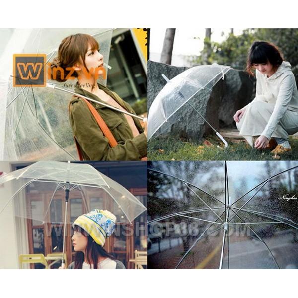 Dù trong suốt  - Winz.vn