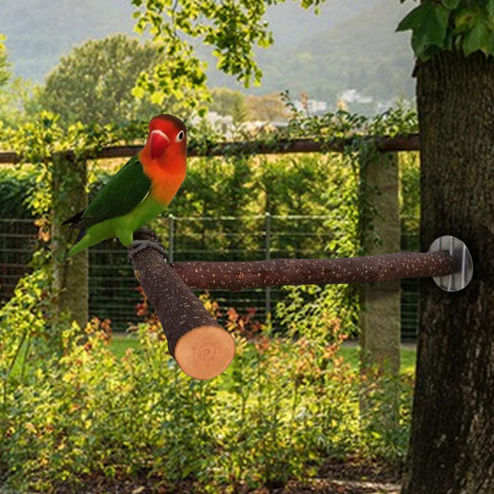 Parrot Perch Bird Stand Pole Wood Parrot Perch Stand Bird Cage Perch for Parakeet Finches Cockatiel