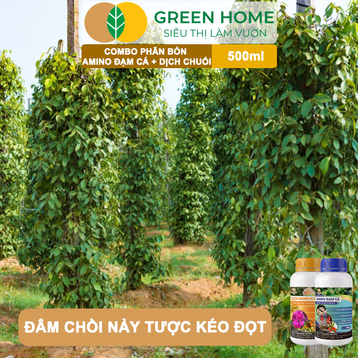 Combo Phân Bón Hữu Cơ Đạm Cá + Dịch Chuối GreenHome, 500ml, Kích Rễ, Bung Đọt, Tăng Đậu Trái To Ngọt