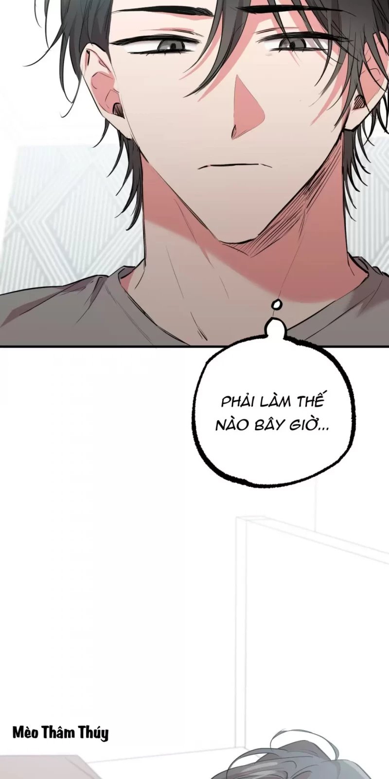 những chú thỏ của hapypy chapter 31.5 21