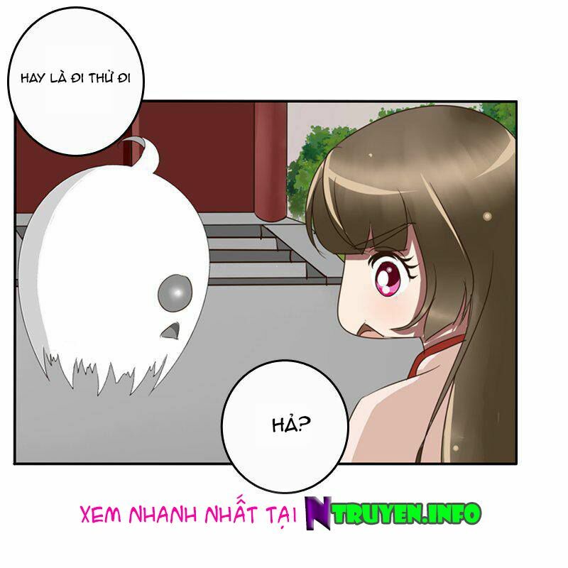 thông linh phi chapter 76.5 13