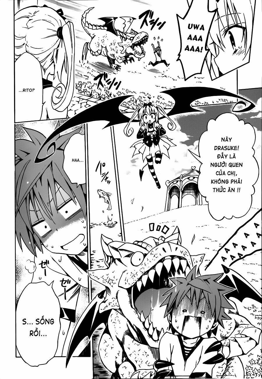 bọn tớ thích cậu! rito 2 - venus chapter 28 21