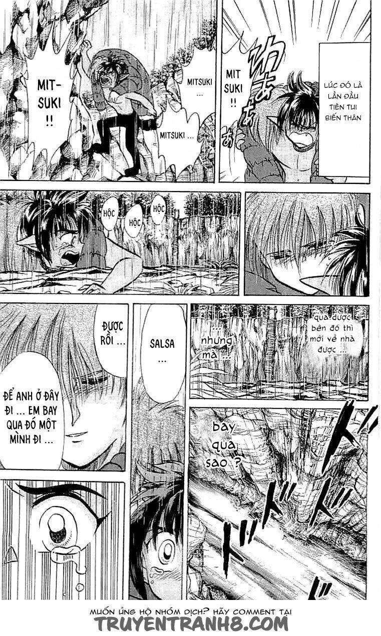 wild half chapter 6 13