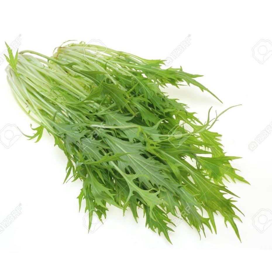 Hạt giống Cải Đuôi Phụng - Mizuna xanh
