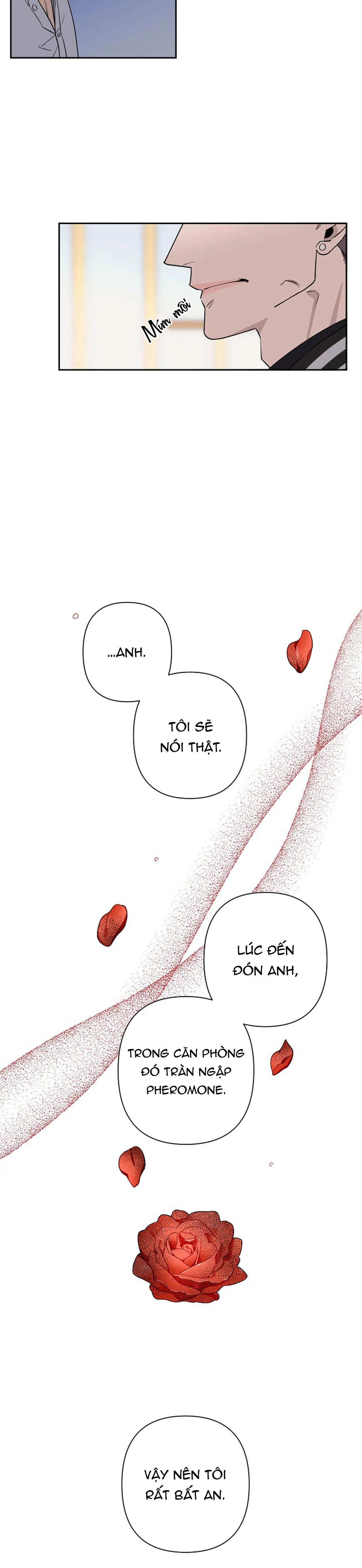 đêm dịu dàng chapter 40 8