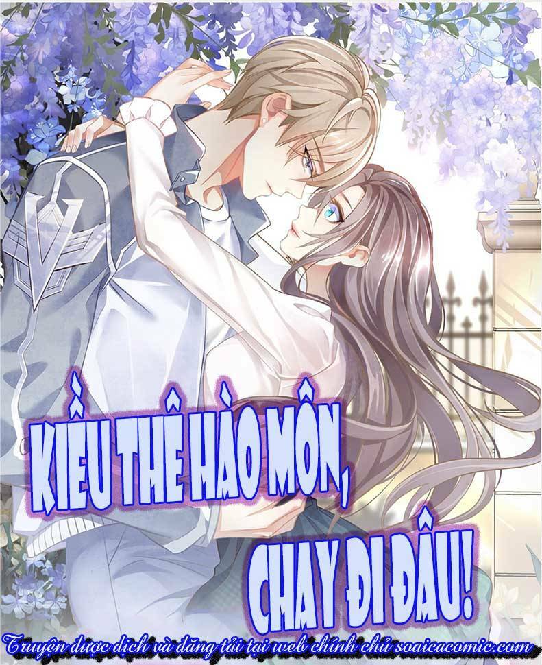 kiều thê hào môn chạy đi đâu chapter 5 1