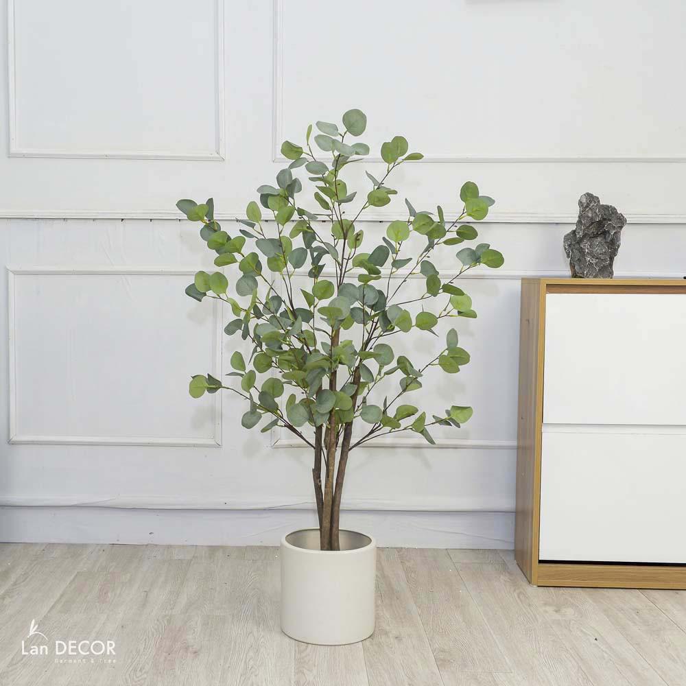 Cây giả - CÂY KIM TIỀN LÁ TRÒN CAO 150CM - LC3001