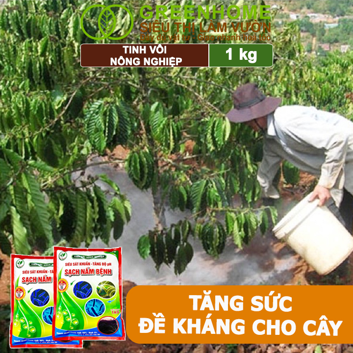 Tinh Vôi Nông Nghiệp Greenhome, Bao 1kg, Cải Tạo Đất, Sạch Nấm Bệnh, Bổ Sung Vi Lượng Giúp Lá To, Quả Nặng