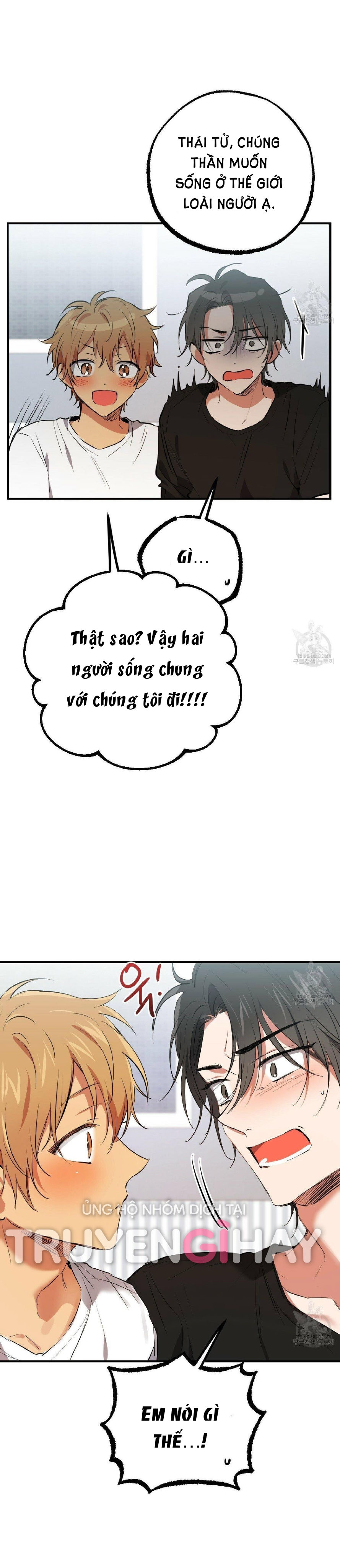 những chú thỏ của hapypy chapter 51.2 10