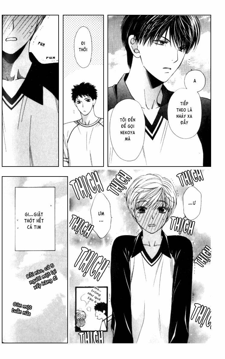 neko neko honey chapter 3 17