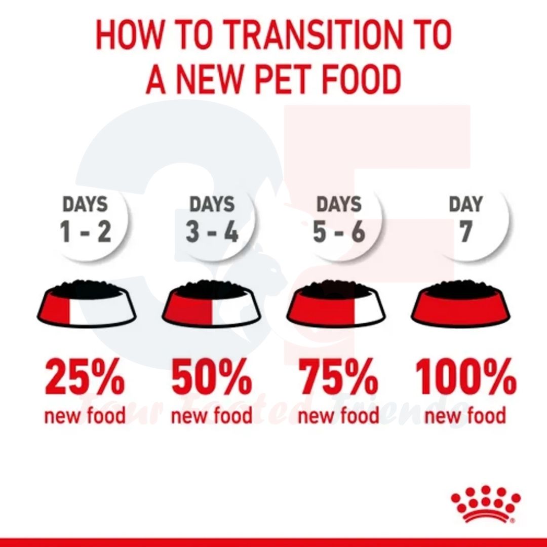 Pate Thức Ăn Ướt Royal Canin Mother &amp; Babycat Dành Cho Mèo Mẹ Mang Thai Và Mèo Đang Cho Bú, Mèo Con Dưới 2 Tháng Tuổi - Lon 195gr