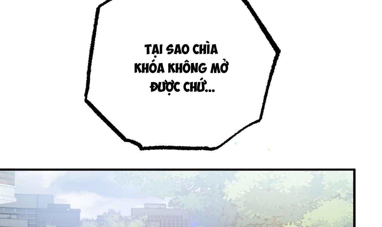 đàn thỏ của habibi chapter 33 241