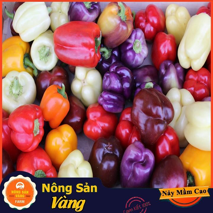 Hạt giống Ớt Chuông Ngọt Nhiều Màu