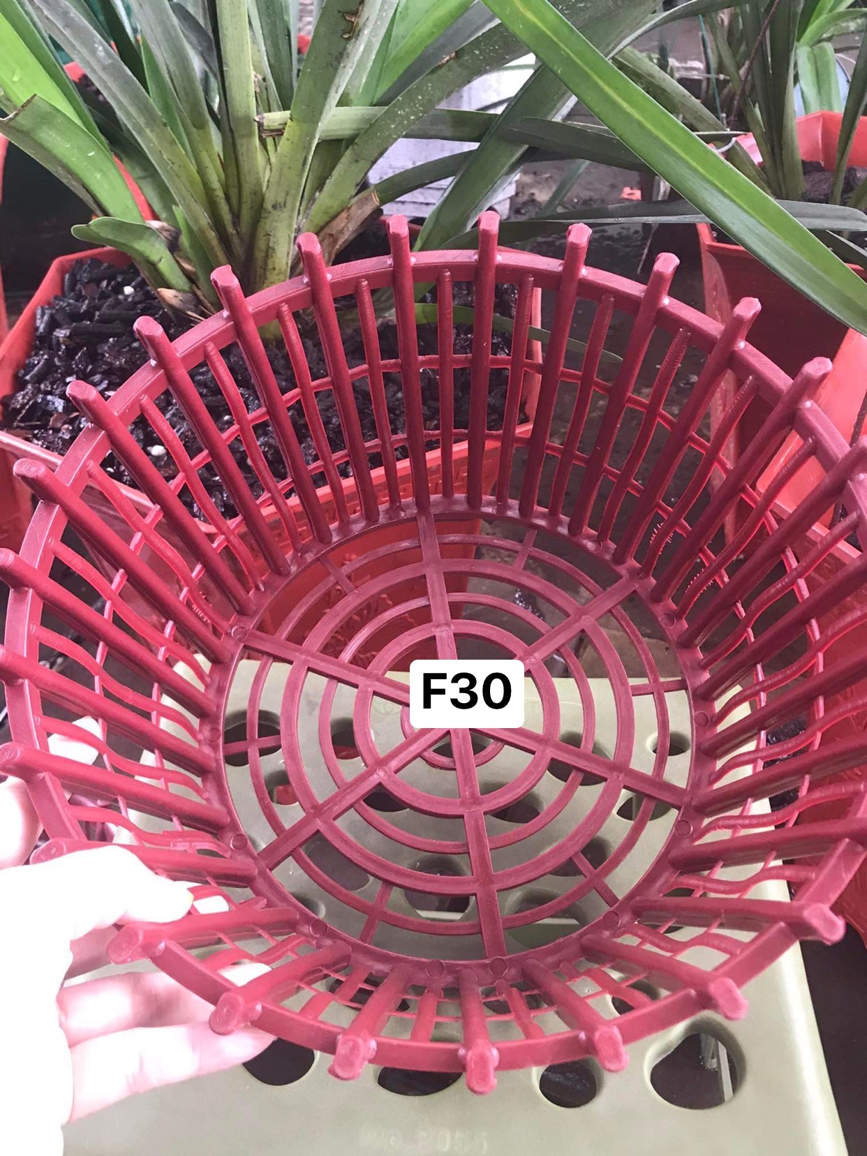 Set 10 chậu nhựa HD có nan phụ f28 đủ * hay gọi là F30