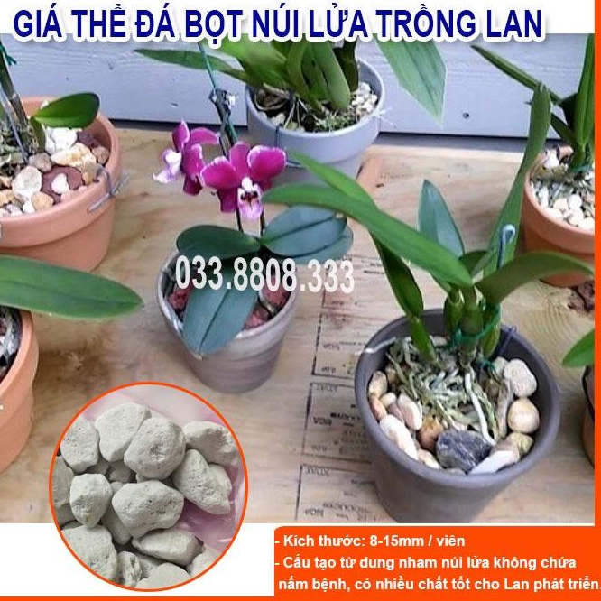Giá Thể Trồng Lan Đá Bọt 5dm - Hàng Đẹp