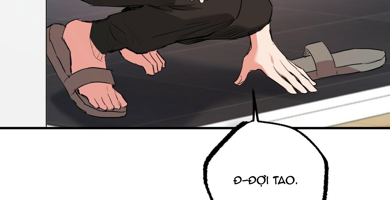 đàn thỏ của habibi chapter 36 222