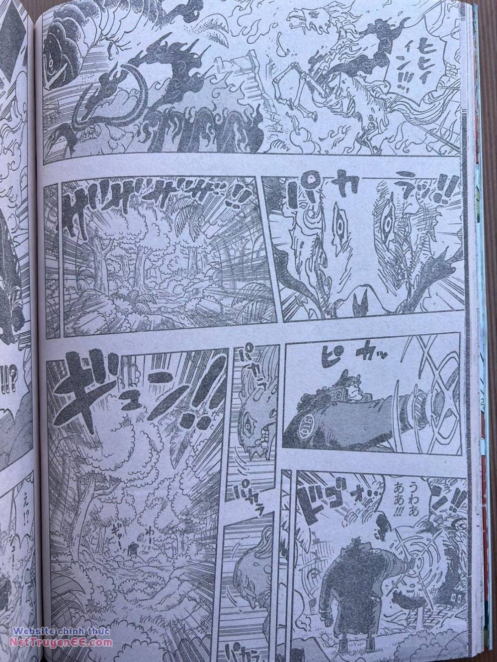 đảo hải tặc - one piece chapter 1110 9