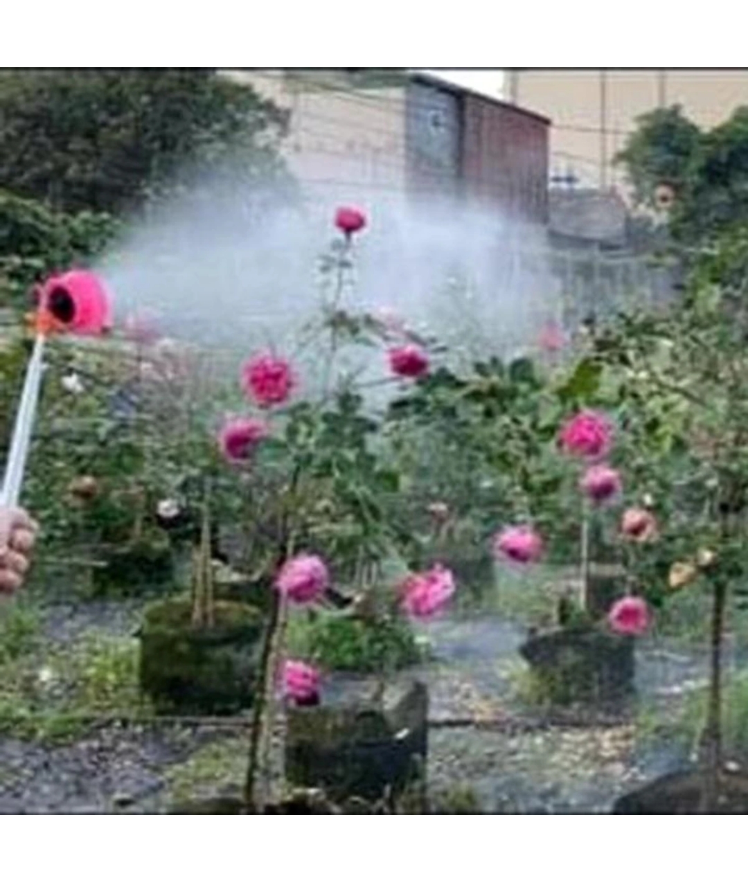 Cần tưới lan cây cảnh, Trọn bộ tưới phun sương lắp vòi nước