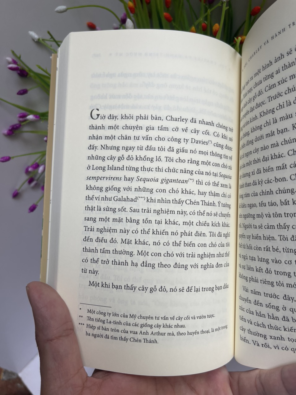 CÁNH CỬA MỞ RỘNG - TÔI, CHARLEY VÀ HÀNH TRÌNH NƯỚC MỸ - John Steinbeck - NXB Trẻ