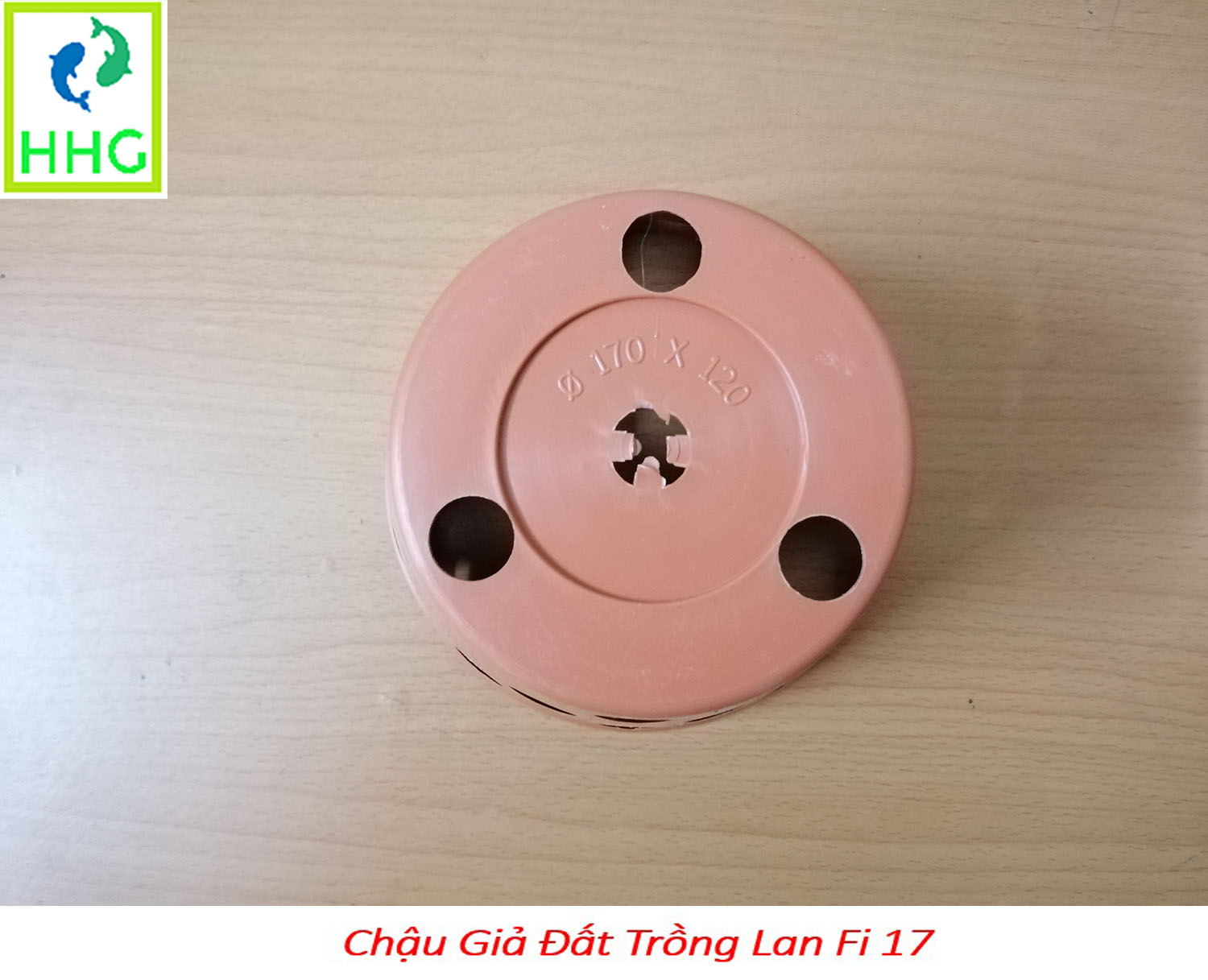 20 chậu giả đất trồng lan Fi 17 - đường kính 17cm