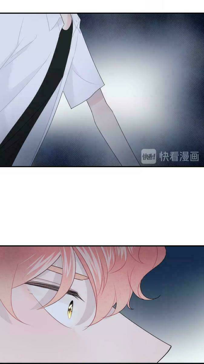 từ cái nhìn của em chapter 24 17