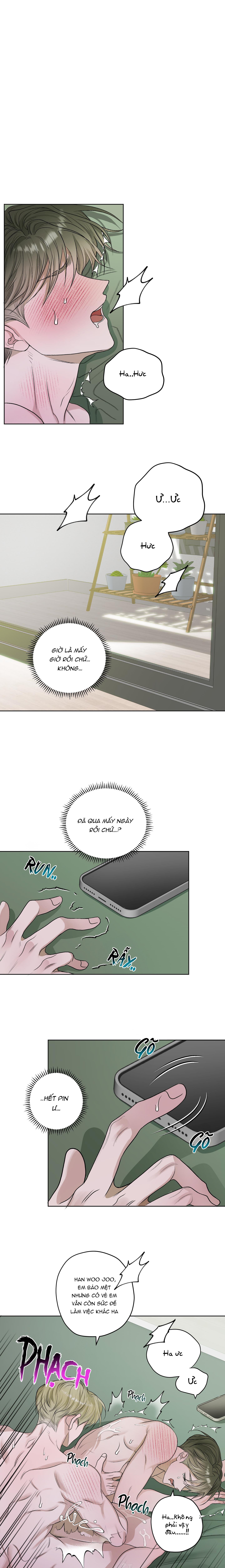 đoá hoa trên mặt hồ chapter 25 2