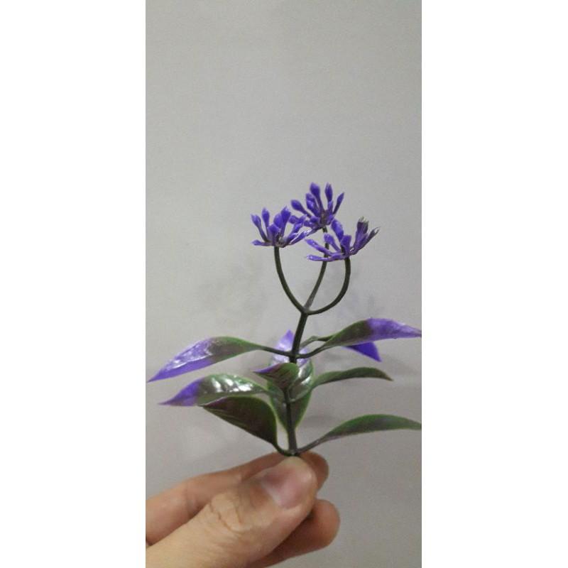 100gr Cỏ điểm ký trộn mẫu hoặc 1 mẫu