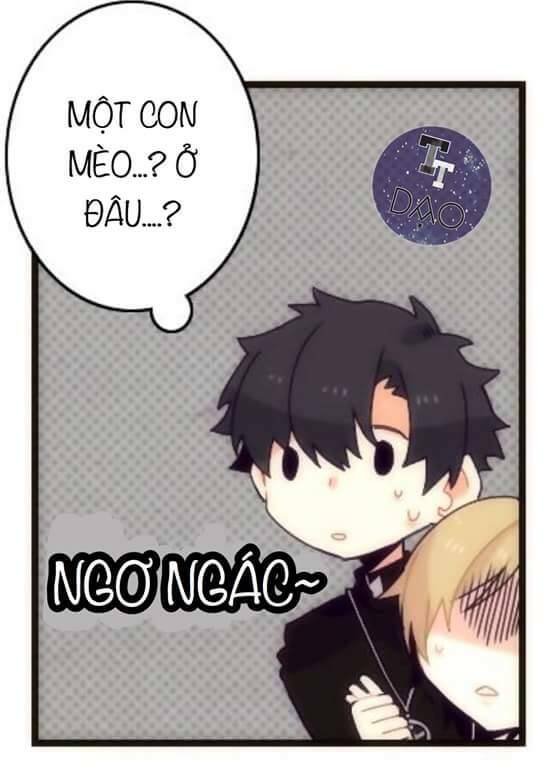 biểu đồ của linh mục chapter 4 37