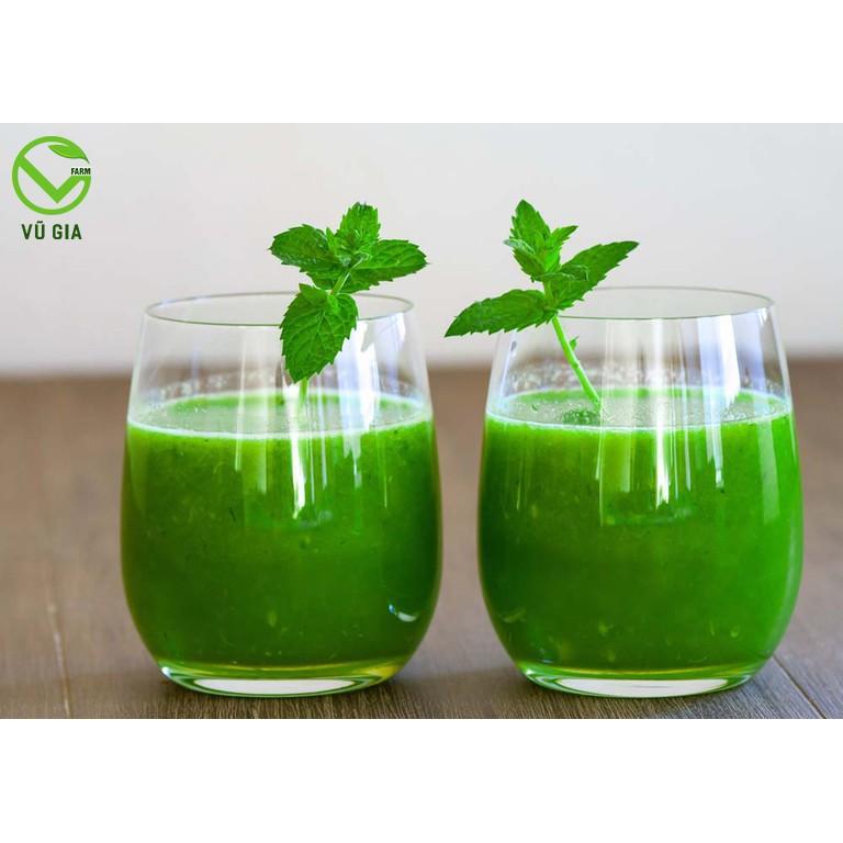 Bột Bạc Hà Sấy Lạnh Nguyên Chất Vũ Gia + Tặng Chai Thủy Tinh Đựng Nước Ép Có Dây Treo 300ml